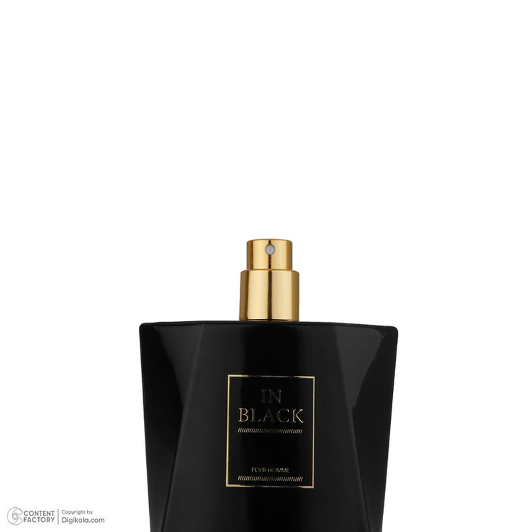 ادو پرفیوم مردانه رودیر پلاس مدل In Black حجم 100 میلی لیتر
