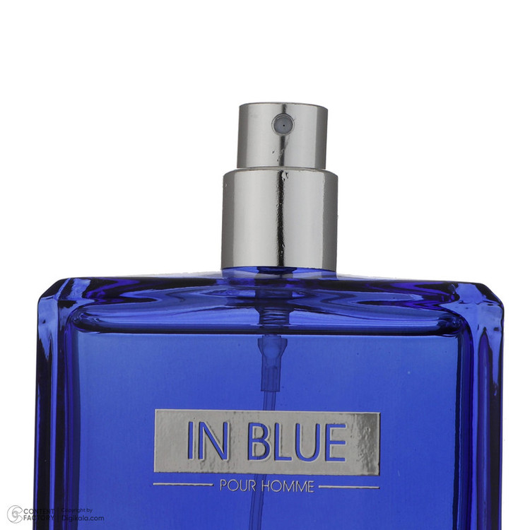 ادو پرفیوم مردانه رودیر مدل IN BLUE حجم 100 میلی لیتر